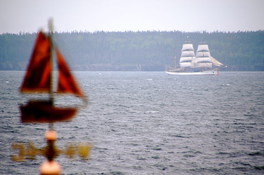 The Picton Castle enters the harbour of Lunenburg