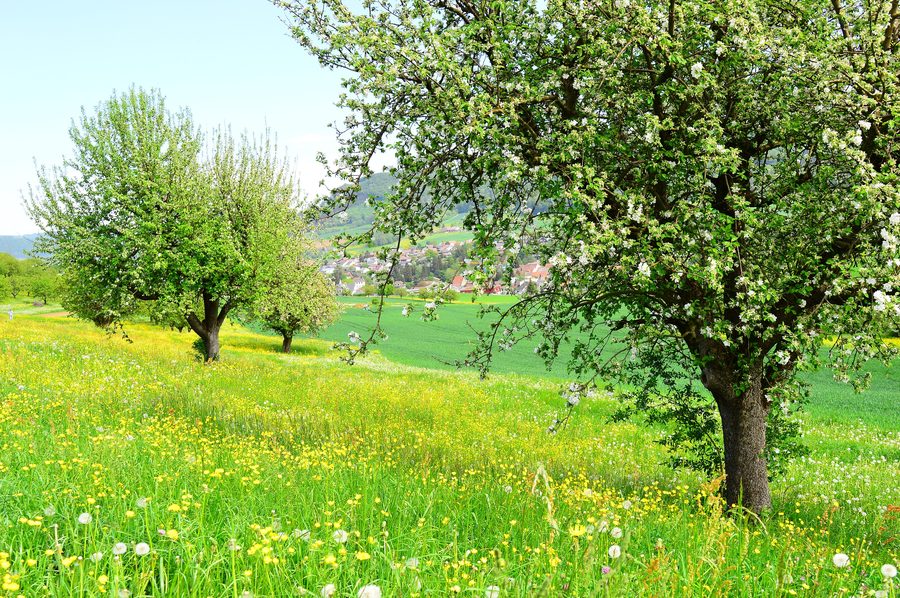 Fricktal in spring with rural landscape
