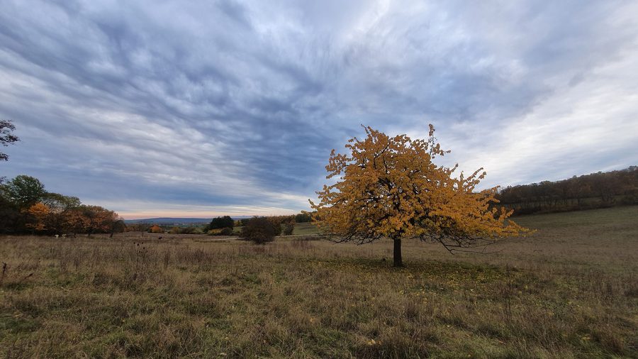 Autumn photo of the Wildcat Village Hütscheroda