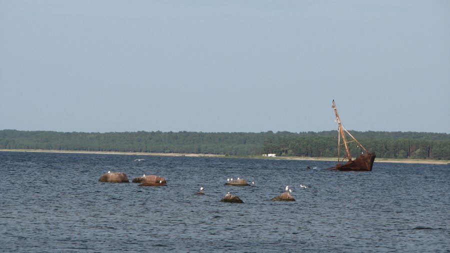 Lohusalu beach and ship wreck in August 2012
