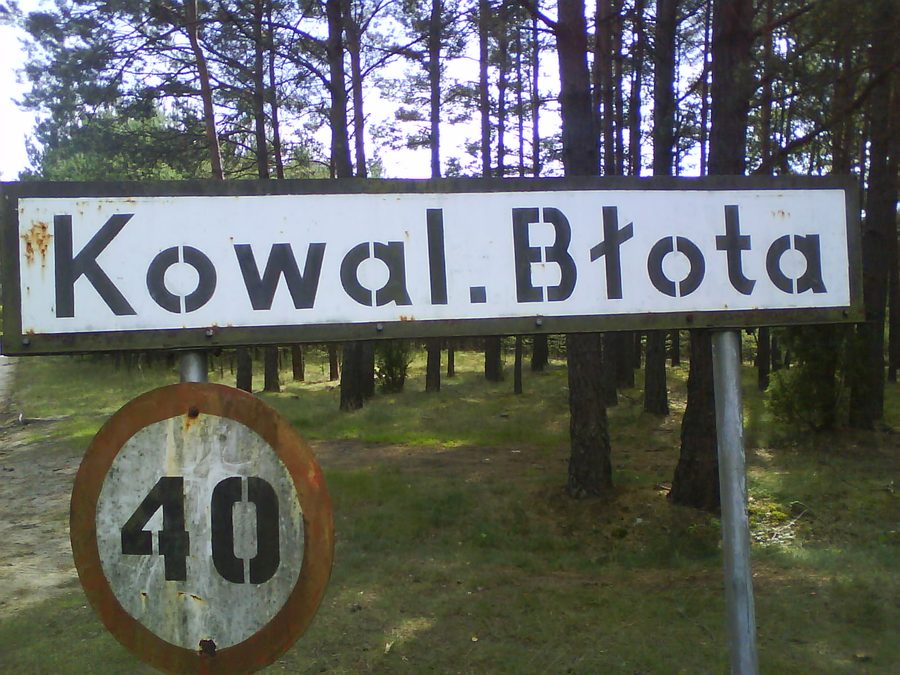 Landschaft in Kowalskie Błota