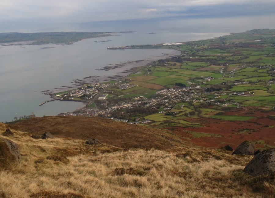 Carlingford Town and Lough seen from Slieve Foy