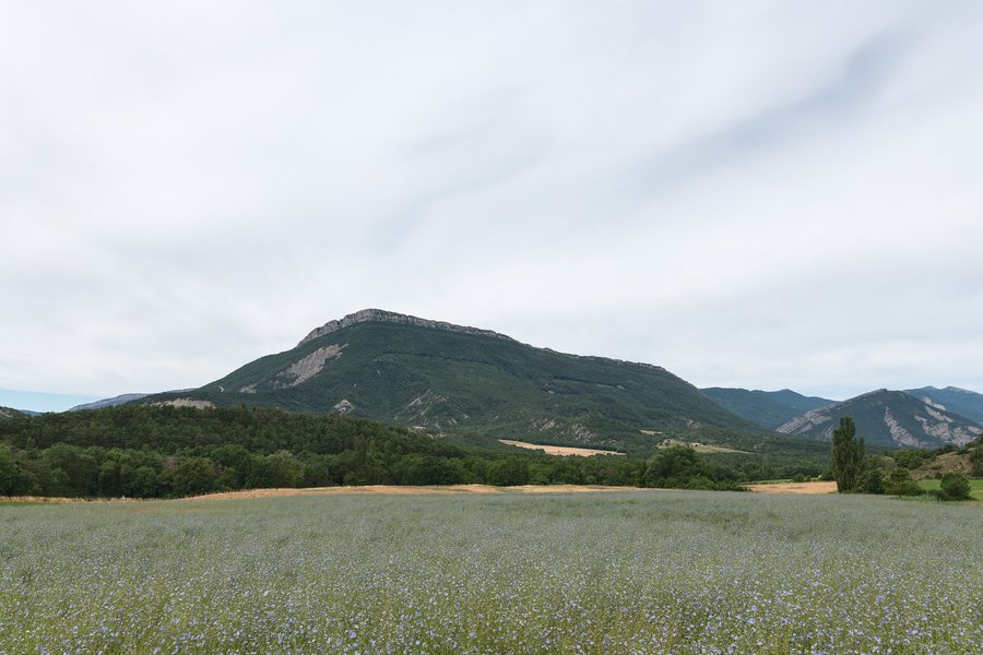 File:Rocher d'Arambre - Savournon, France - July 13, 2024.jpg