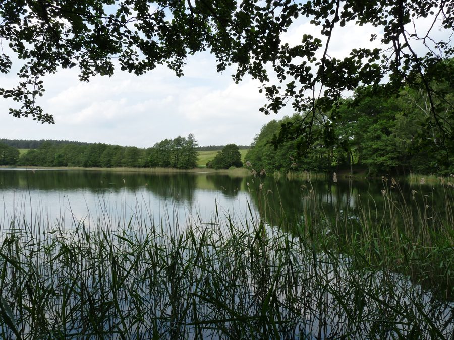 Glammsee near the village of Witzin in Mecklenburg-Vorpommern