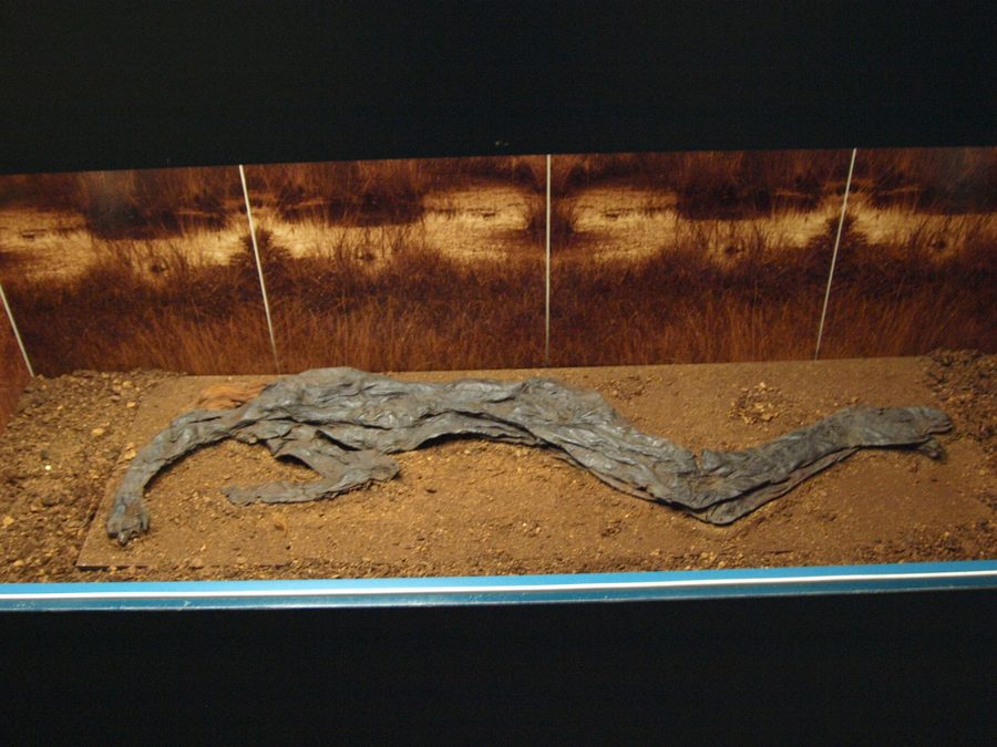 Der Damendorfer Mann im Archäologischen Landesmuseum Schloss Gottorf