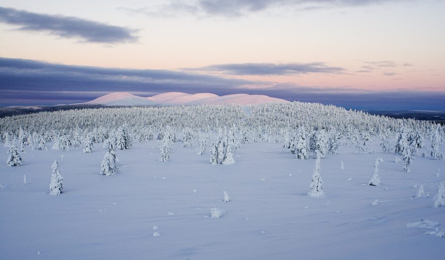 Fell landscape in Finnish Lapland