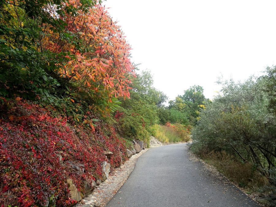 Path on the grounds of Plzeň Zoo