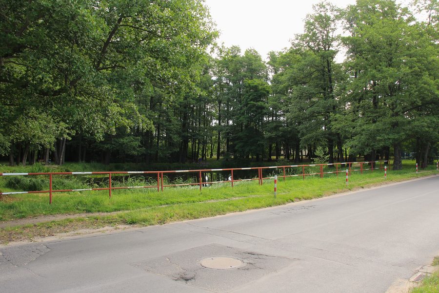 Teich an der Olszynowa-Straße in Przeźmierowo