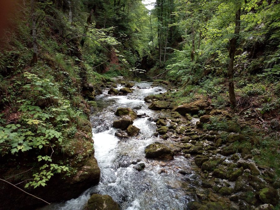 File:Ravna Gora 1.jpg