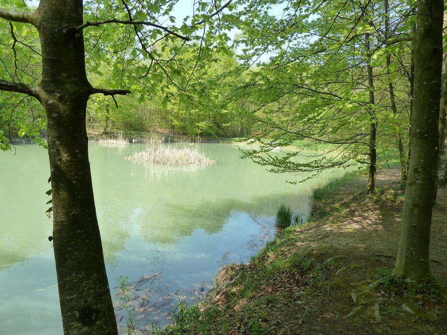 File:Commercy Fontaine Royale Etang.jpg