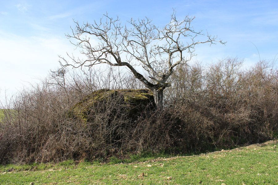 File:Chozeau - Chaise du Seigneur-001.JPG