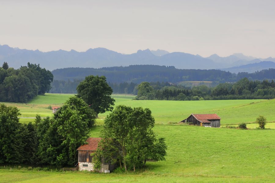 Landscape in the Pfaffenwinkel with a path and a rural setting