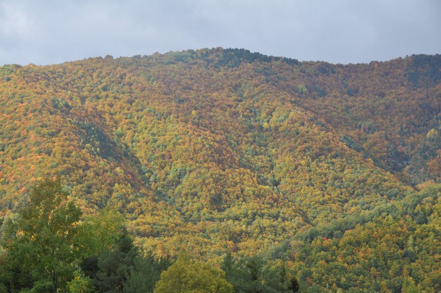 File:OTOÑO EN FANLO - panoramio.jpg