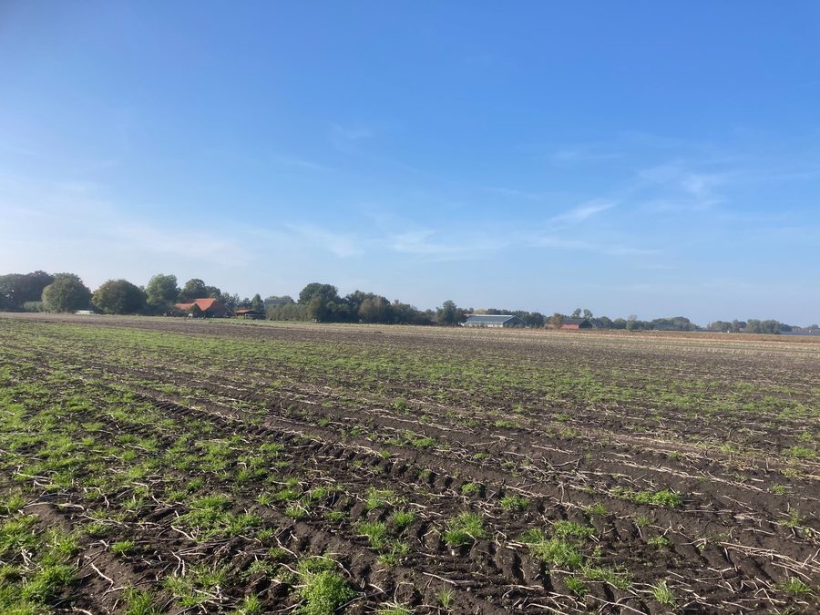 Peatland reclamation and water retention area near Nieuwlande