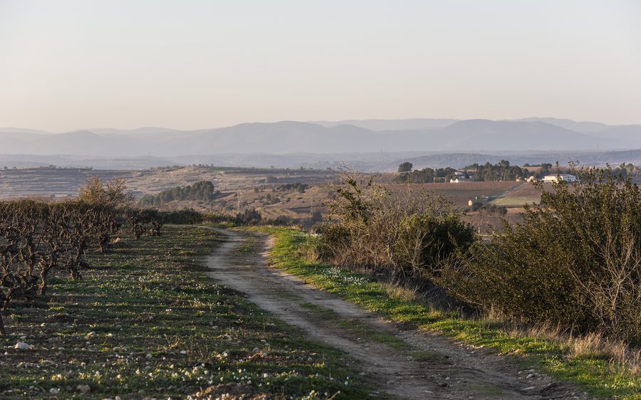 File:Landscape in Montady cf01.jpg