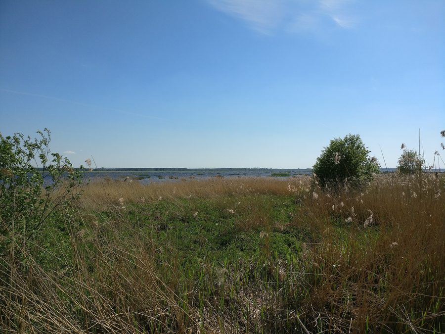 Landschaft am Babītes ezers in Lettland