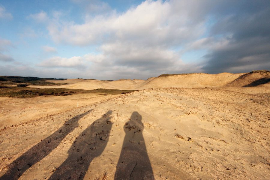 Open dune landscape in the PWN area near Heemskerk