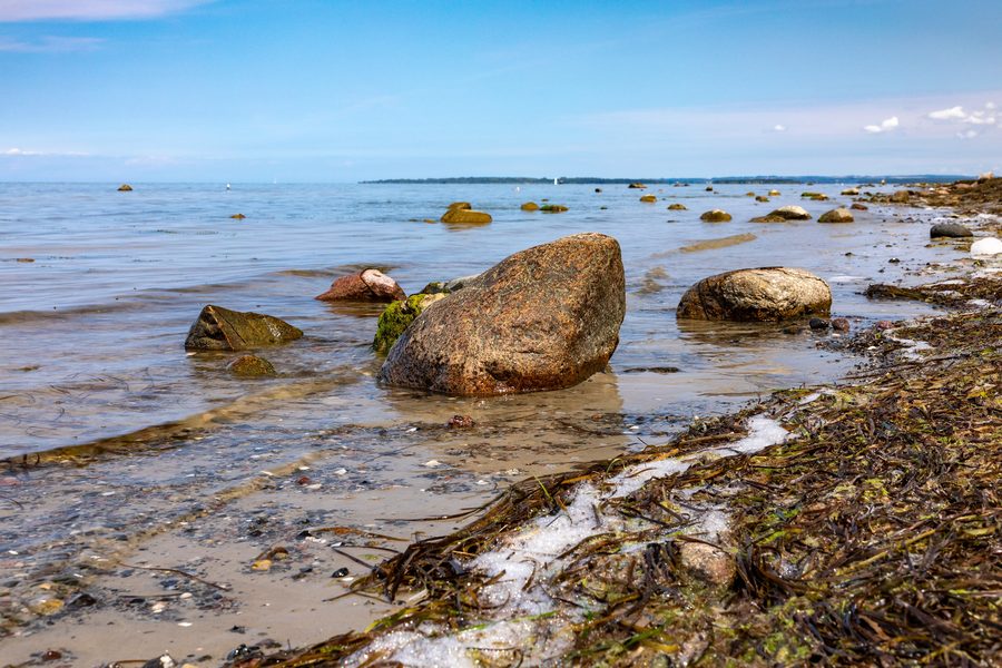 Cliff coast near Kaltenhof on the island of Poel