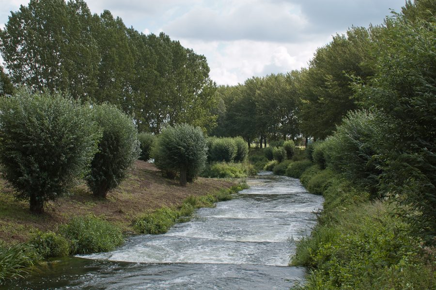 Fischtreppe an der Staustufe Linne an der Maas
