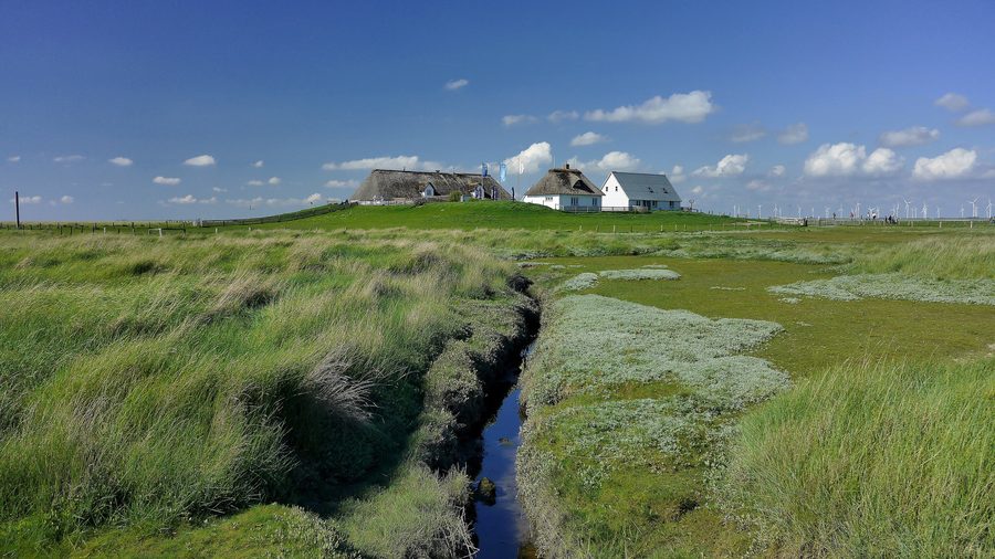 Landscape of Hamburger Hallig in the Wadden Sea National Park