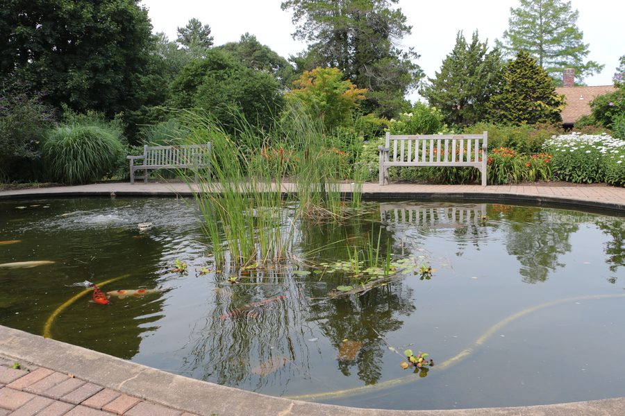 Koi-Teich in den Deep Cut Gardens in Middletown, New Jersey