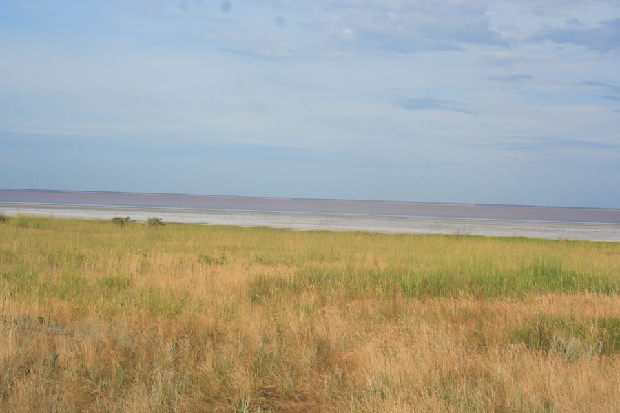 Open steppe in Blagoveshchenskiy rayon in Altai Krai