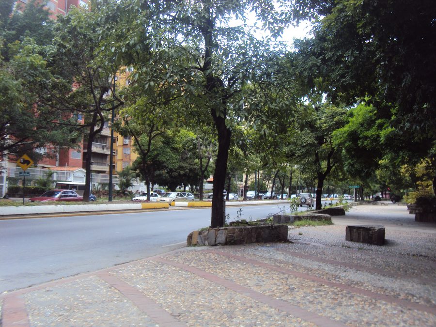 Bulevar Raúl Leoni en Venezuela