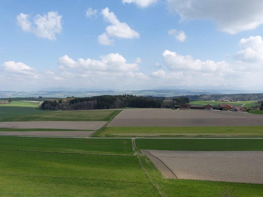 Expansive landscape view over Gros-de-Vaud with the Alps in sight
