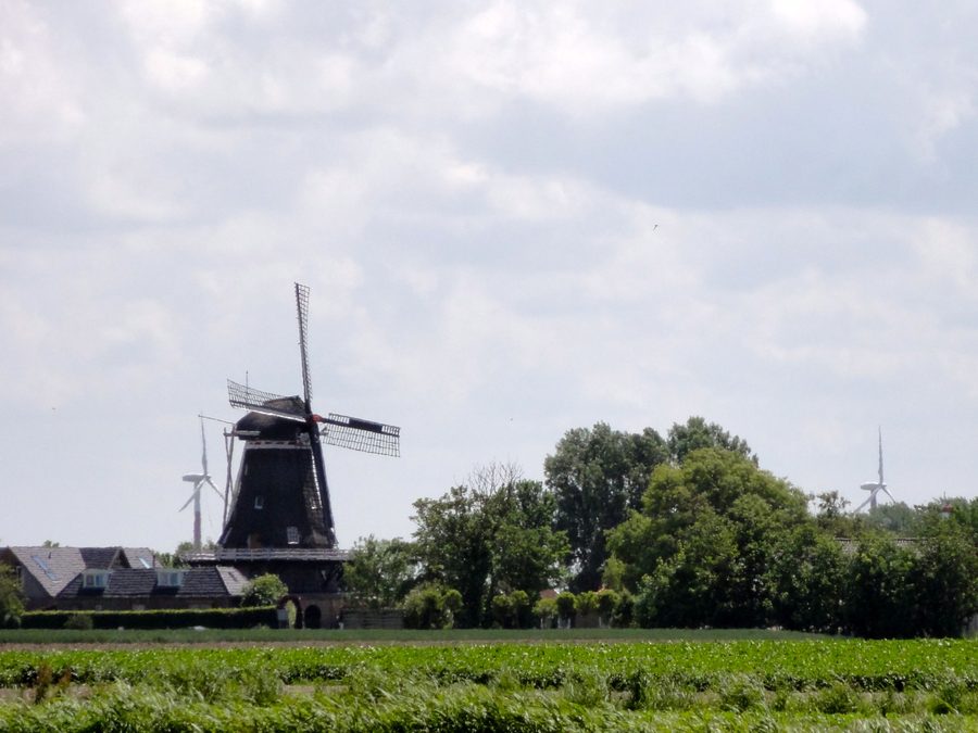 Molen De Korenaar in Sexbierum