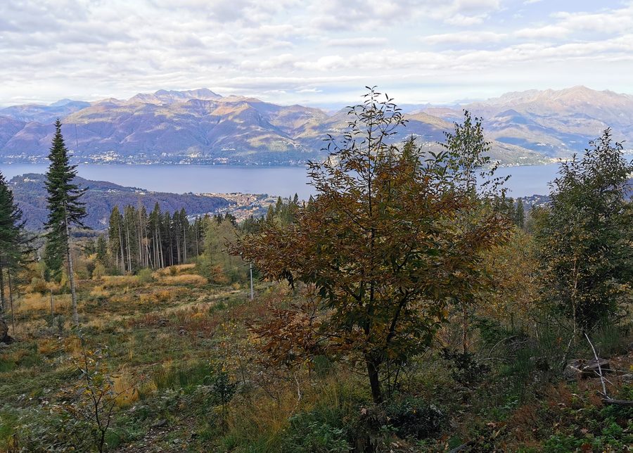 View of Lake Maggiore from the path to Monte Sette Termini, in the area of Montegrino Valtravaglia