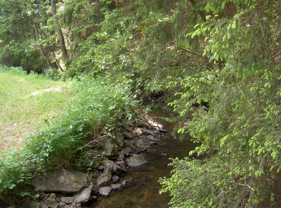 Bavarian Schwarzach in the Upper Palatinate