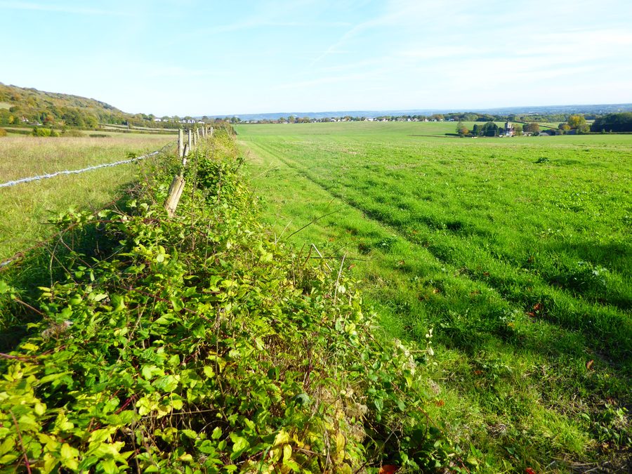 Landscape at the foot of the North Downs near Trosley Country Park