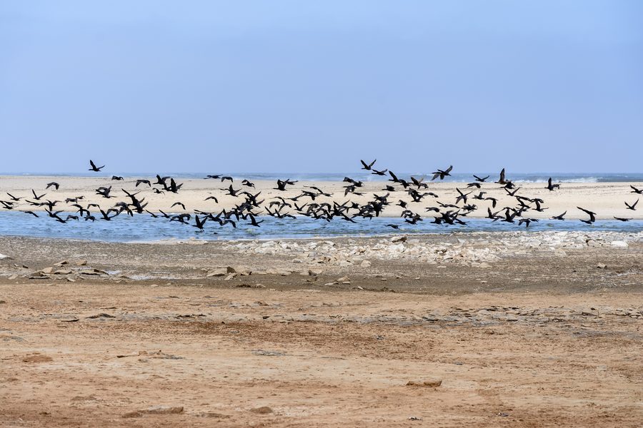 Lagoon on the Skeleton Coast in Namibia