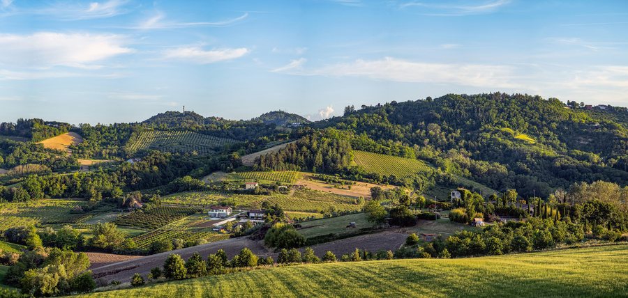 File:Monte Sterlino - Collinello - Forlì-Cesena - GT 2025.jpg