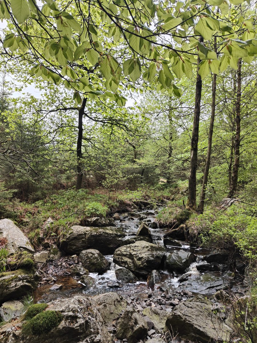 Ardennes landscape in Belgium