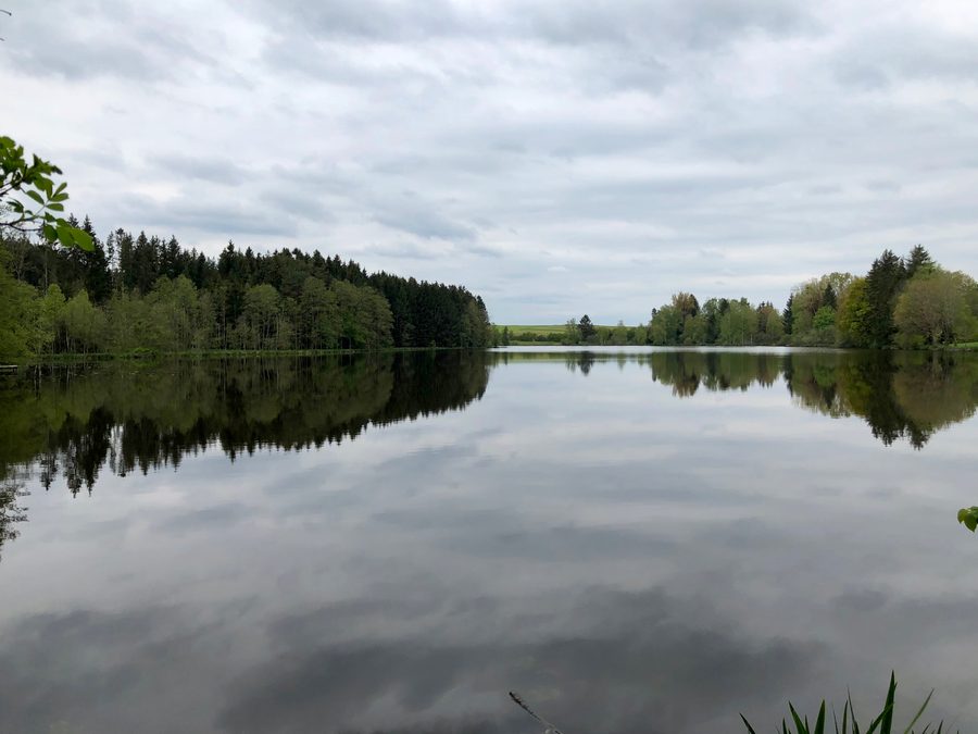 Engelsrieder See near Rott, seen from the eastern shore