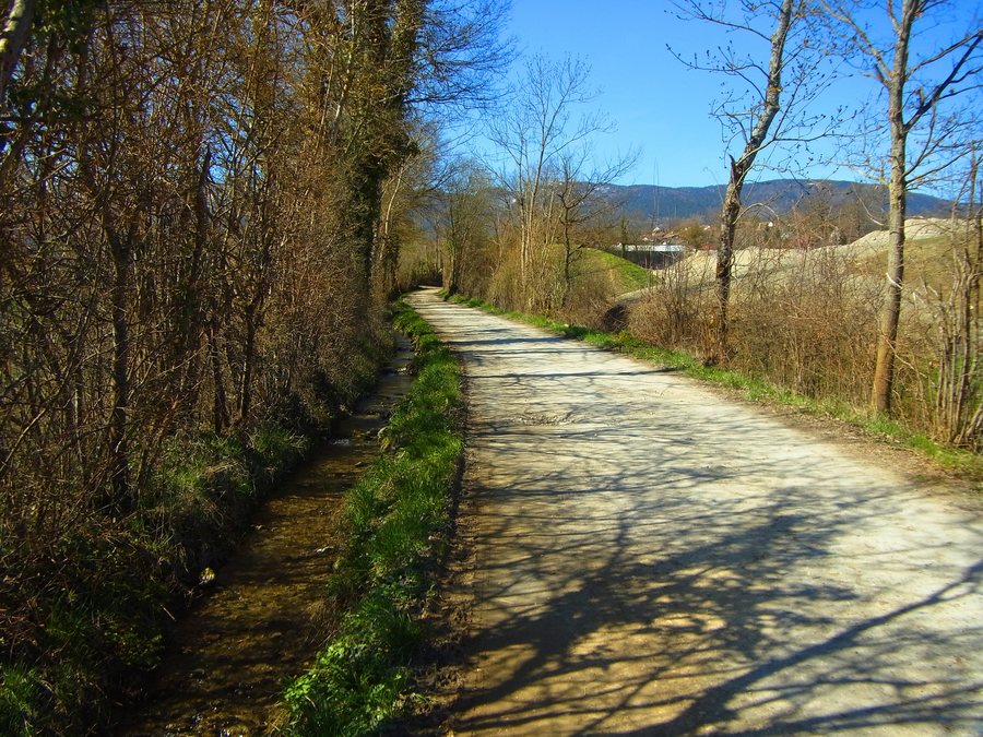 File:Chemin du Marais, Cessy, France - panoramio (1).jpg