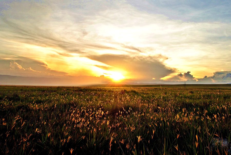 La Gran Sabana in the state of Bolívar