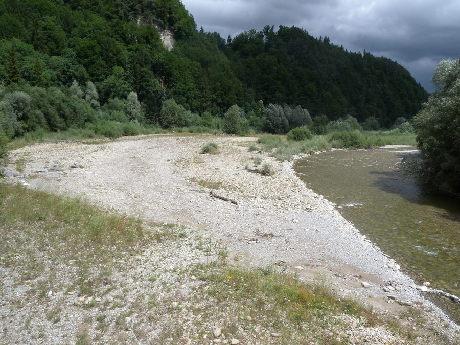 Floodplain landscape of the Sense near Schwarzenburg at Sodbach Bridge