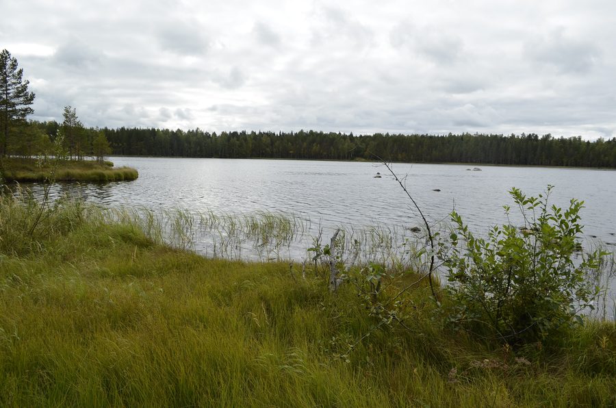 Lake Dolgoe in the Derevyanskoye rural settlement, Prionezhsky District, Republic of Karelia, Russia