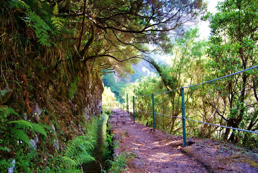 Levada path through Madeira’s landscape