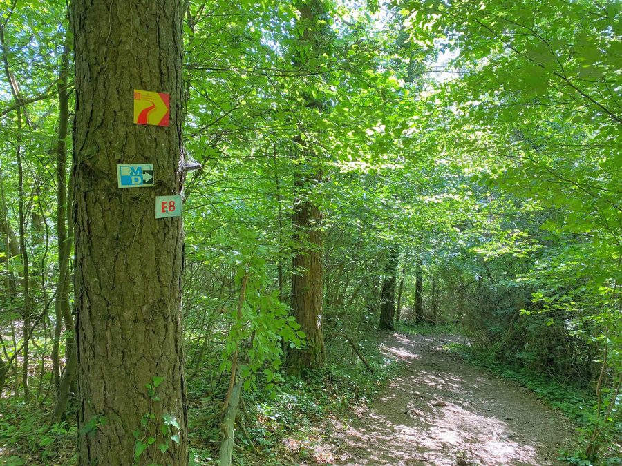 Landscape on the Altmühltal Panorama Trail near Obereichstätt in the Eichstätt district