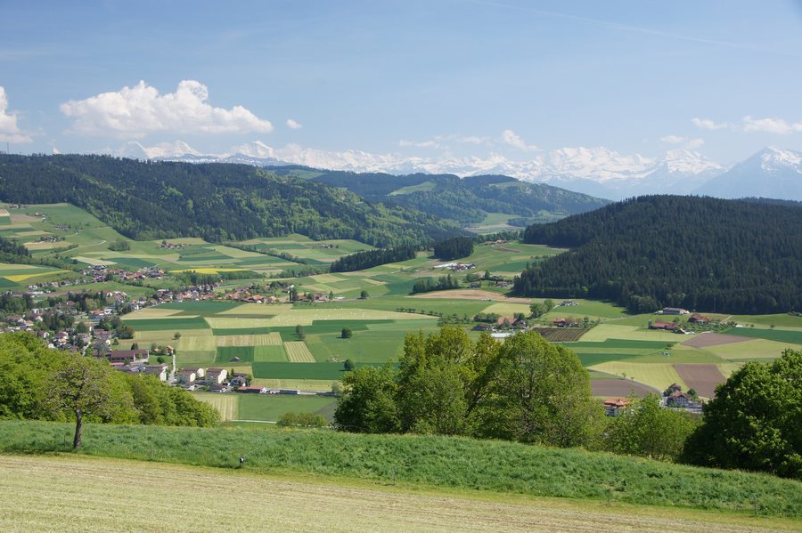 Landscape near Ballenbühl in Konolfingen with a view over the Bernese Alpine region