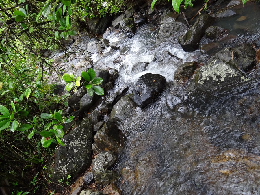 Waterfall in El Yunque National Forest in Puerto Rico