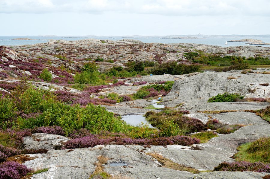 File:Öckerö kommun - Rörö naturreservat - 2026-05-04 16-03-16 001.jpg