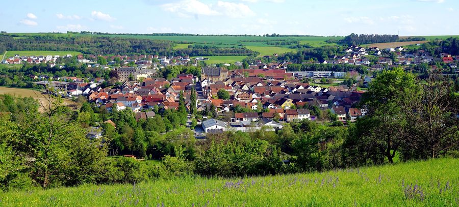 View of Thüngen from the vineyard in May 2024