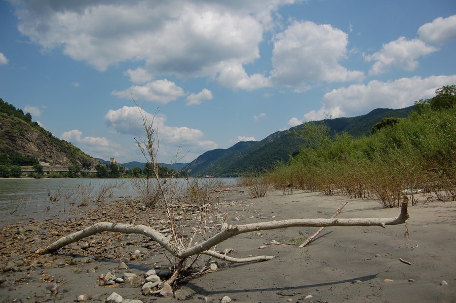 Danube riverbank in the Wachau near Mitterarnsdorf