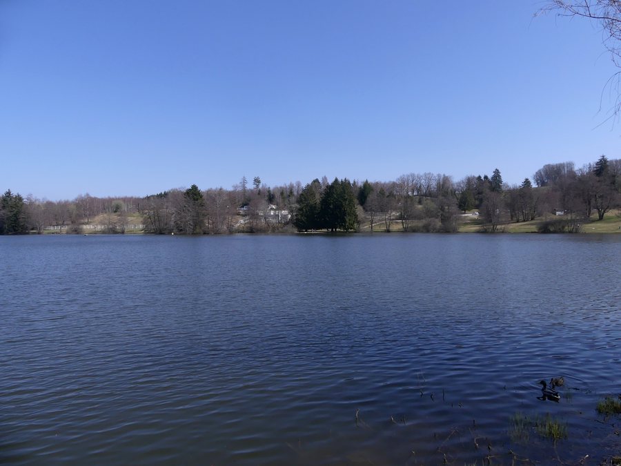 File:Lac des Dronières à Cruseilles au début du printemps (mars 2022).JPG