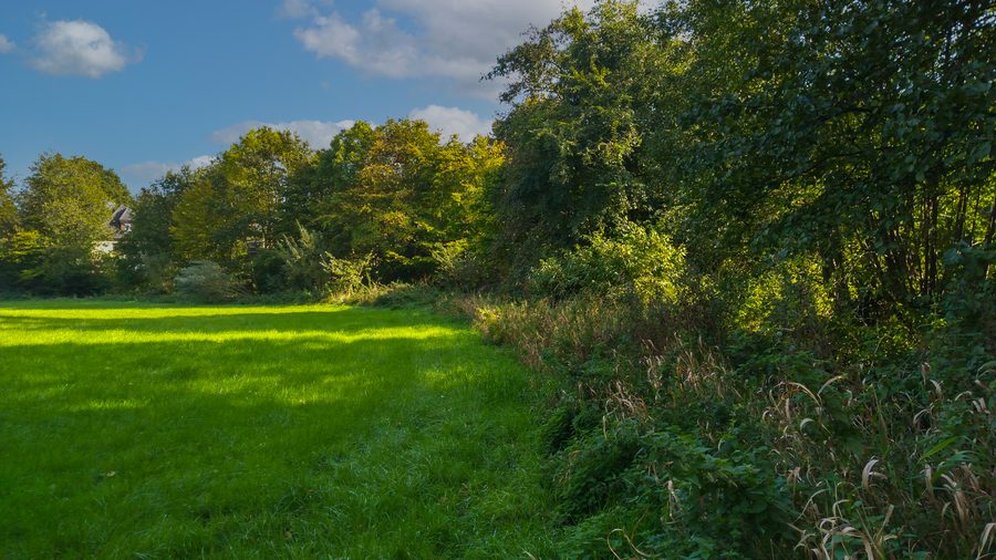 Landschaft an der Bollingstedter Au im FFH-Gebiet Treene, Winderatter See bis Friedrichstadt