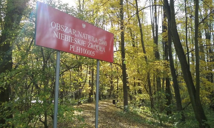 Türkisblaues Wasser der Naturquelle Niebieskie Źródła in Tomaszów Mazowiecki, Polen